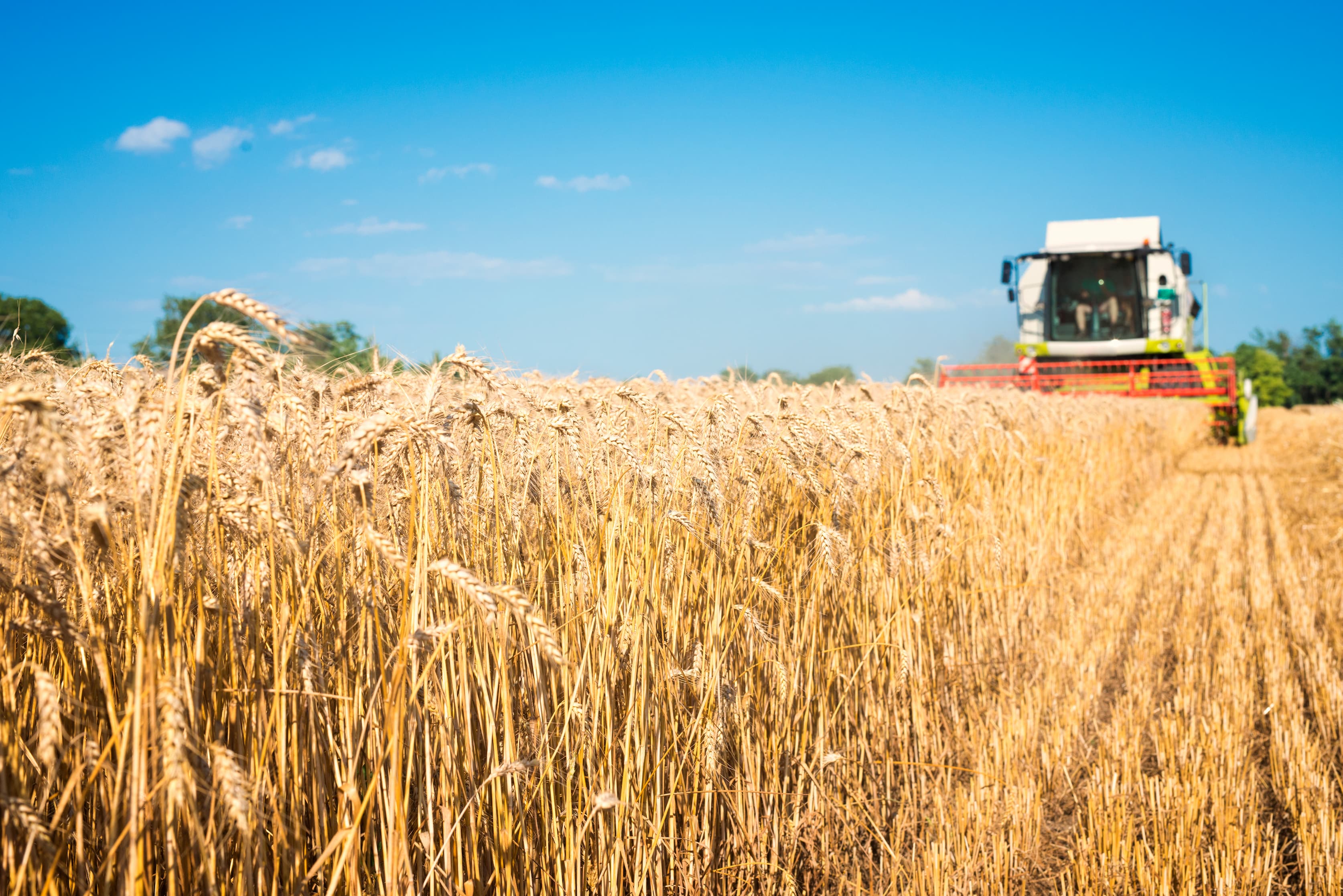 Agriculture sector